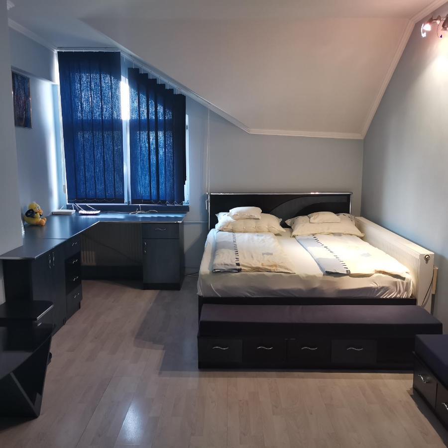 فندق Vila Angela Felix Sînmartin المظهر الخارجي الصورة