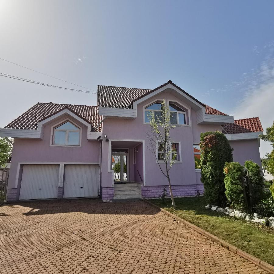 فندق Vila Angela Felix Sînmartin المظهر الخارجي الصورة